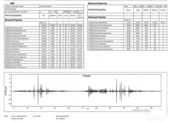 Screenshot of MTR report